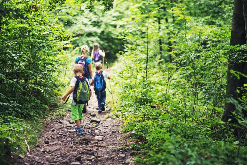 Family hiking in dense deciduous forest